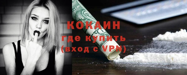мдпв Гусь-Хрустальный