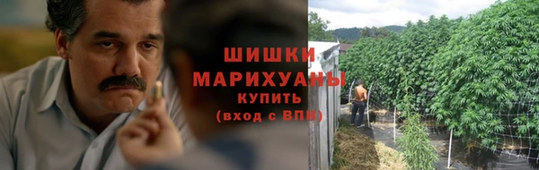 мдпв Гусь-Хрустальный