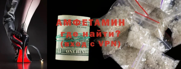 мдпв Гусь-Хрустальный