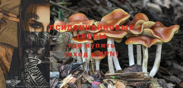 мдпв Гусь-Хрустальный