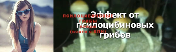 мдпв Гусь-Хрустальный