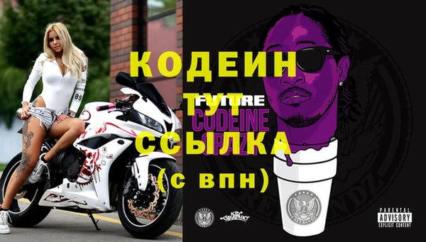 мдпв Гусь-Хрустальный