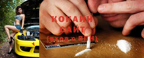 мдпв Гусь-Хрустальный